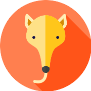 Anteater PNG Icon