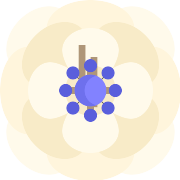 Anemone PNG Icon