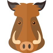 Boar PNG Icon