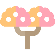 Almond Tree PNG Icon