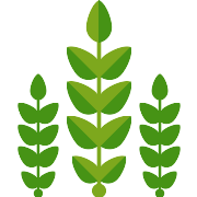 Crops PNG Icon