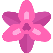 Gladiolus PNG Icon