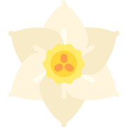 Jonquil PNG Icon