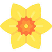 Daffodil PNG Icon