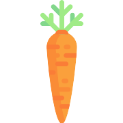 Carrot PNG Icon