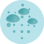 Oxygen PNG Icon