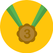 Bronze Medal PNG Icon