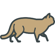 Wild Cat PNG Icon