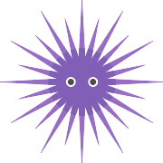 Sea Urchin PNG Icon