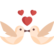 Love Birds PNG Icon