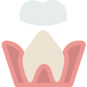 Molar PNG Icon
