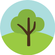 Tree PNG Icon