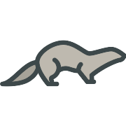 Mink PNG Icon