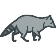 Racoon PNG Icon