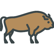 Bison PNG Icon