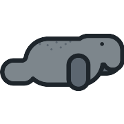 Sea Cow PNG Icon