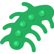 Microbe PNG Icon
