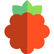 Raspberry PNG Icon
