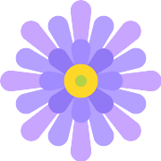 Aster PNG Icon