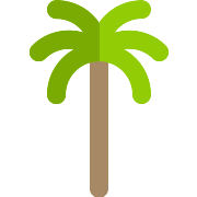 Palm Tree Summer PNG Icon