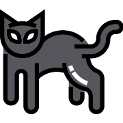 Black Cat Horror PNG Icon