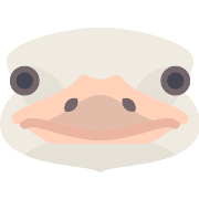 Ostrich PNG Icon