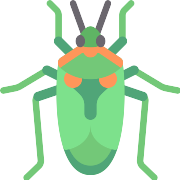 Bug Insect PNG Icon