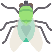 Fly Insect PNG Icon