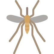 Mosquito PNG Icon
