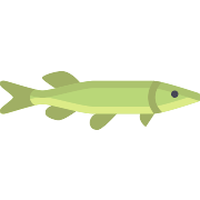 Pike Fish PNG Icon