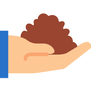 Sprout PNG Icon