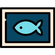Photograph Fisher PNG Icon