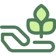 Sprout Tree PNG Icon