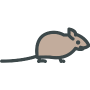 Mouse PNG Icon