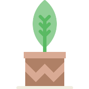 Plant PNG Icon