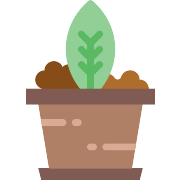 Plant PNG Icon