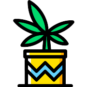 Plant Botanical PNG Icon