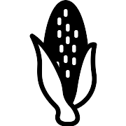 Corn PNG Icon