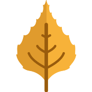 Leaf Season PNG Icon