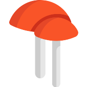 Mushrooms Mushroom PNG Icon