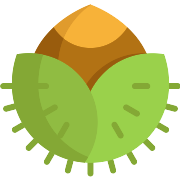 Nut Hazelnut PNG Icon
