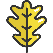 Leaf Autumn PNG Icon