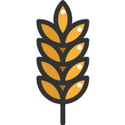 Wheat Barley PNG Icon