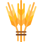 Hebrew Jewish PNG Icon