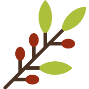Hebrew Plant PNG Icon