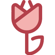 Tulip PNG Icon