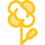 Poppy PNG Icon