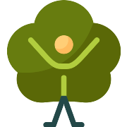 Ecologism Tree PNG Icon