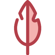 Quill PNG Icon