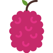 Raspberry Raspberry PNG Icon